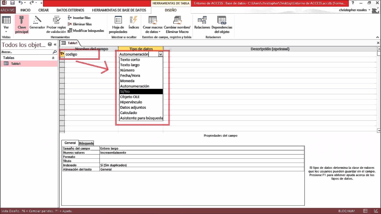 Resultado de imagen para entorno de acces