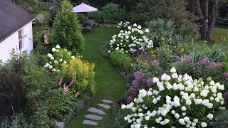 July Garden Tour // Lilies, Gladiolus, Acidanthera, and More!!! // Northlawn Flower Farm