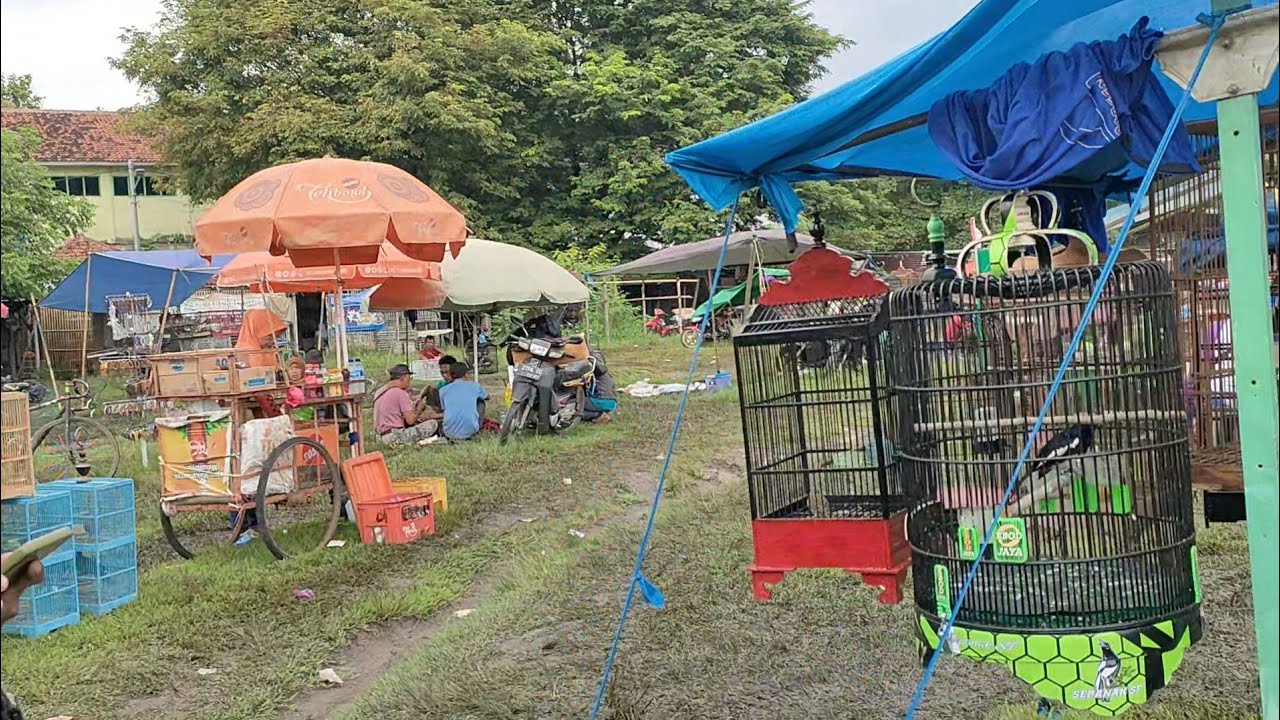 KACER FULL MATERI DI JUAL MURAH SAMA ABAH
