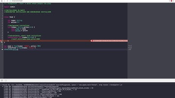 Types of Initializers and Rules while using them(in Nepali language)