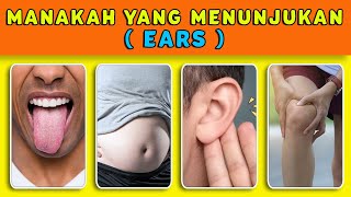 🛑 KUIS TENTANG TEBAK ORGAN TUBUH DALAM BAHASA INGGRIS || Cerdas Cermat Indonesia screenshot 5