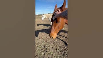 Should I do more 15 Sec to 25 second videos or 45 sec to Min? Let me know Please!