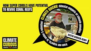BOSS Series: How super corals have potential to revive coral reefs