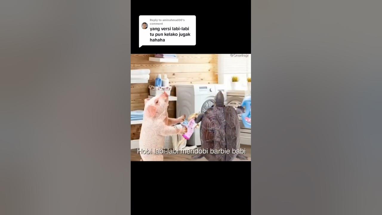 Ada labi-labi dan babi-babi😂