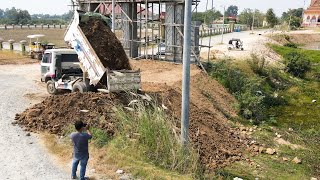 Perfect !! New project showing Dump truck dumping dirt Land installing pushing by Dozer mini.