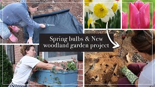 Planting Spring Bulbs | Winter Garden Prep | Fall Garden Cleanup | Shade Gardening | Woodland Garden by Miss Annie 188 views 5 months ago 19 minutes