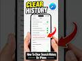 How To Clear Search History On iPhone