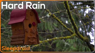 ► Hard Rain Pouring Off Roof ~ Heavy Rainstorm Sounds for Sleeping (No Thunder) Sleep Fast Lluvia