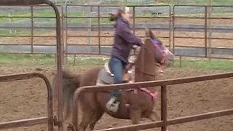 Calf Sorting Shawnee Equestrain Center