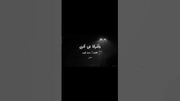 #قران #قران_كريم #محمد_ايوب #سورة_طه #quran #foryoupage #fyp #mataysar