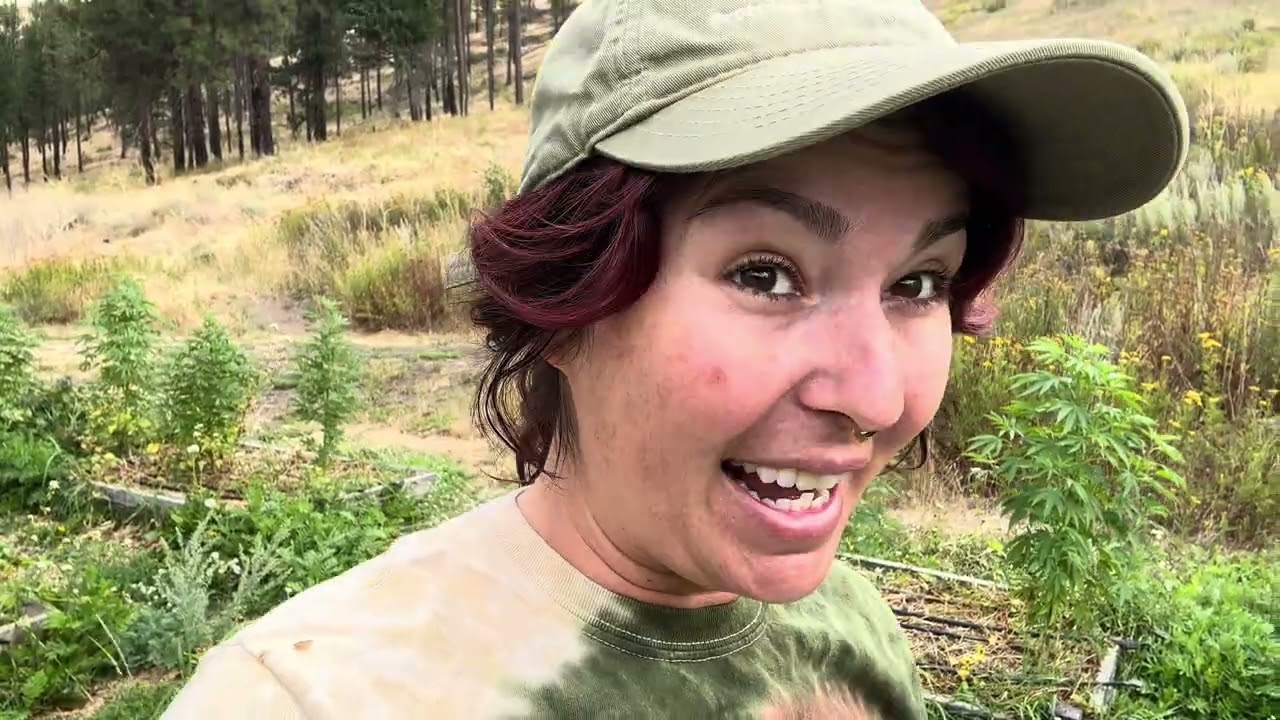 Wildcrafting Garden Nutrients | Fermented Plant Juice (FPJ)