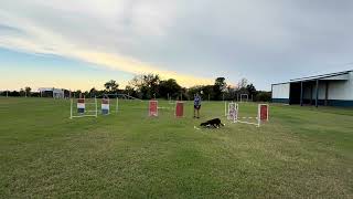 Suri SS jump grid 9/25