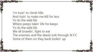 Fat Joe - The Wild Life Lyrics