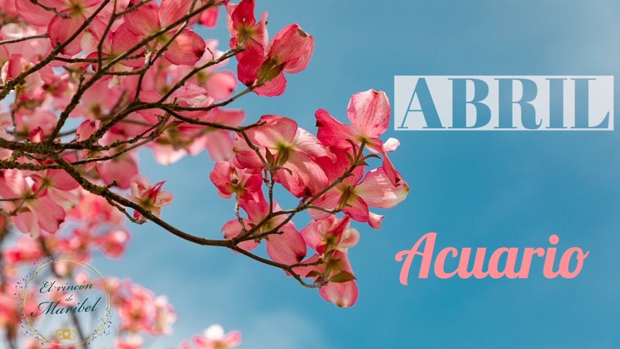 HORÓSCOPO ABRIL 2022 ACUARIO YouTube