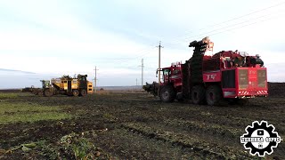 видео: Комбайны Ropa Tiger 5 и Holmer TerraDos T4-40. Уборка сахарной свёклы в Елецком районе картинка: Комбайны Ropa Tiger 5 и Holmer TerraDos T4-40. Уборка сахарной свёклы в Елецком районе