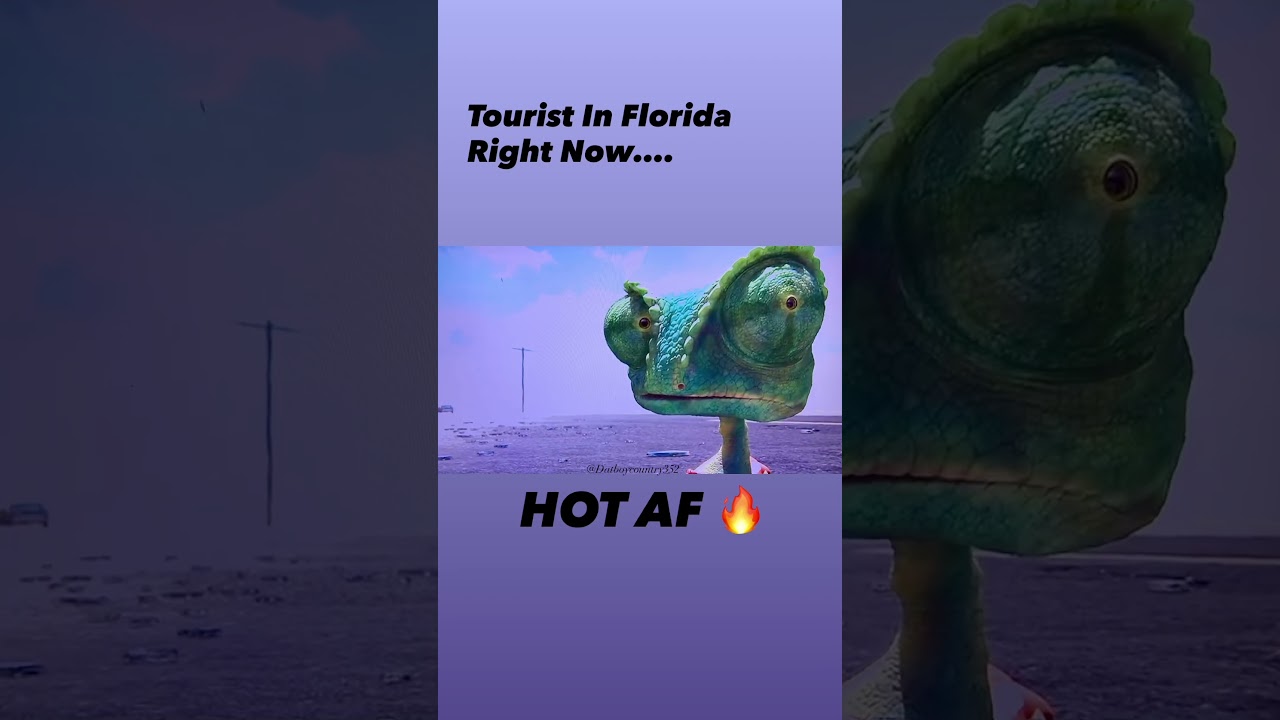 Touring Florida In The Summer Be Like.. #Comedy #Florida #Shorts