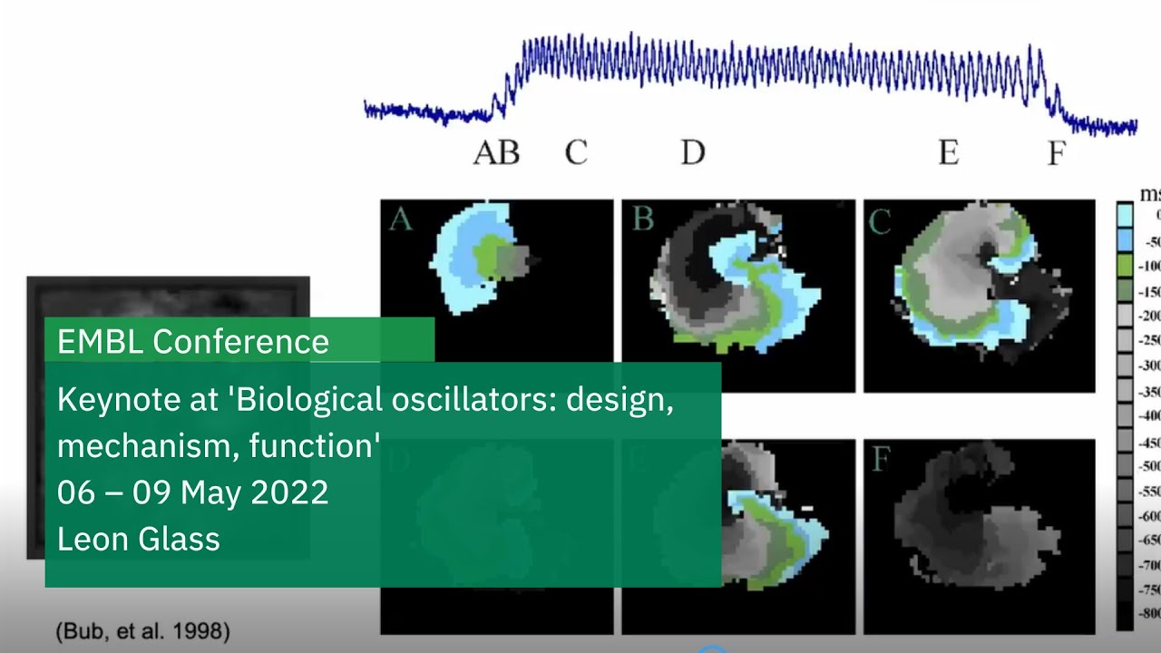 Mechanism for the Self- termination of paroxysmal rhythms