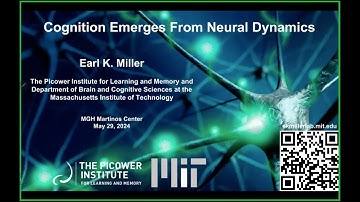 Brainmap: Cognition Emerges from Neural Dynamics