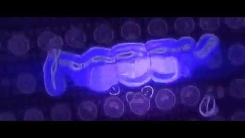 itzRebby ~ Fantro ~ Sync