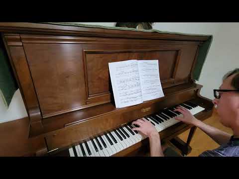 Beethoven Sonata Pathetique Mov. II: Adagio Cantabile; Hand-played With Provisos...