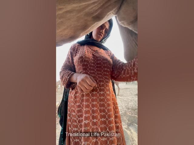 desert life in Pakistan #villagelife #traditional ##india #viral
