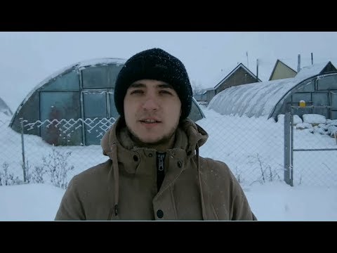 Видео: Какие культуры выращивают зимой?