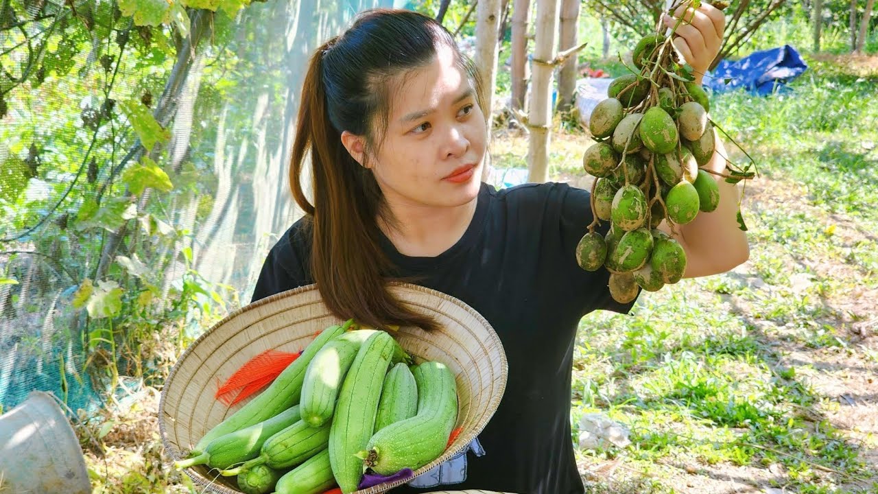 Let's harvest toadstools and melons together with Phuong in Phuong's ...