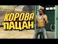 КОРОВА ПАЦАН 🤠| CS:GO