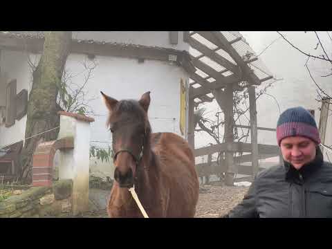 zum Verkauf -
