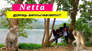 Netta | 🔥 തിരുവനന്തപുരം  - കന്യാകുമാരി  