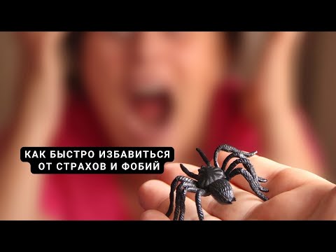 Откуда берутся ФОБИИ? Научный эксперимент