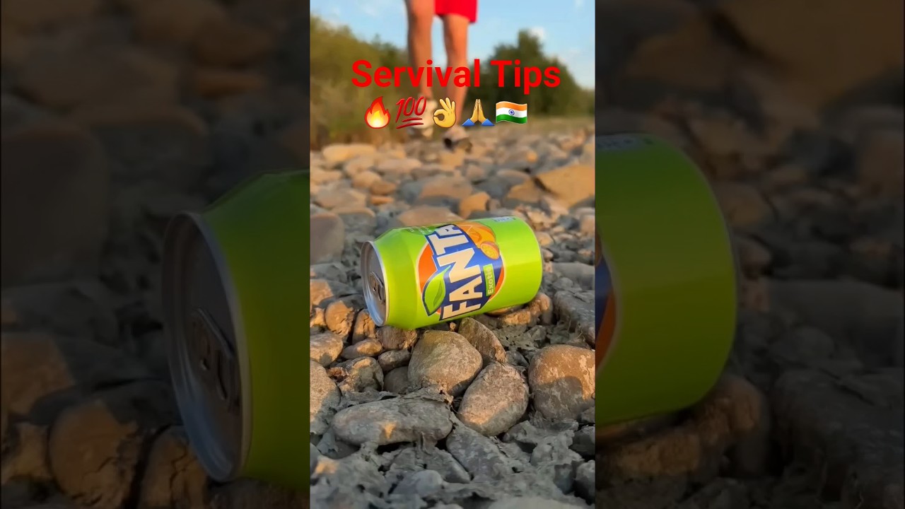 Survival Tips 2025 
