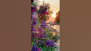 قران كريم ارح قلبك وسمعك #قران_في_دقيقة #quran #قرآن @قران_في_دقيقة