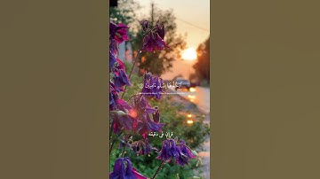 قران كريم ارح قلبك وسمعك #قران_في_دقيقة #quran #قرآن @قران_في_دقيقة