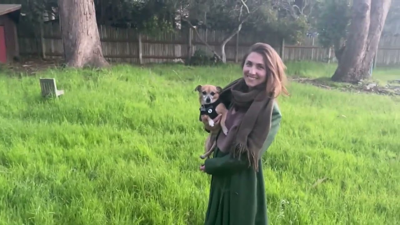 Magenta Spreen - Big South (Official Video)