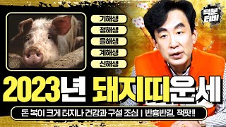 2023년 나이별로 보는 돼지띠 운세 계묘년에 횡재수가 들어와 금전과 재물의 상승이 보이는 돼지띠는 95년생…