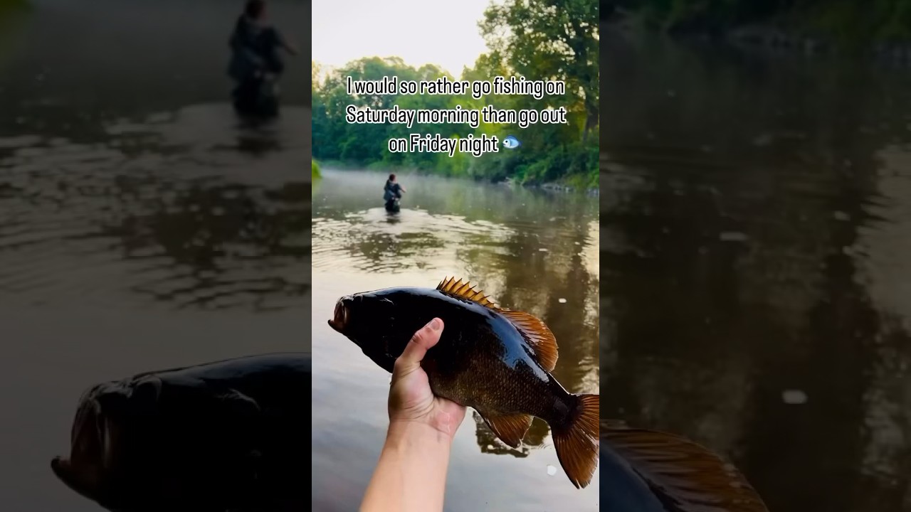 Saturday Morning Smallies ☀️