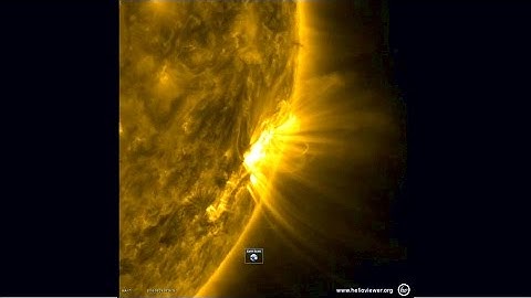 Coronal loops arch above the Sun in Nasa images