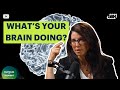 What's My Brain Doing? Goosebumps &amp; Other Strange Phenomena | Heather Berlin