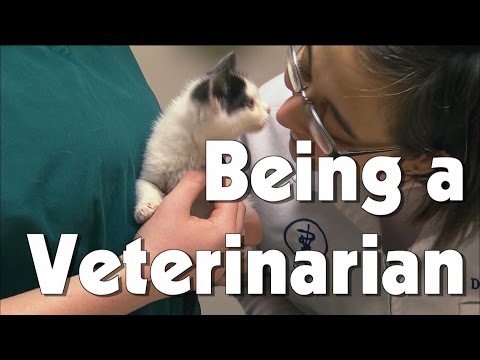 Being a Veterinarian | The Friday Zone | WTIU | PBS