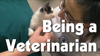 Being a Veterinarian | The Friday Zone | WTIU | PBS