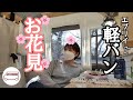 軽バンでお花見🌸
