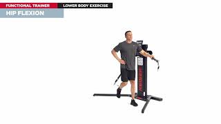 Hip Flexion