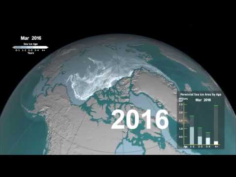 Age of Arctic