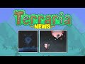 Terraria 1.4.3 Don&#39;t Starve Update Confirmed! (Terraria DST News)