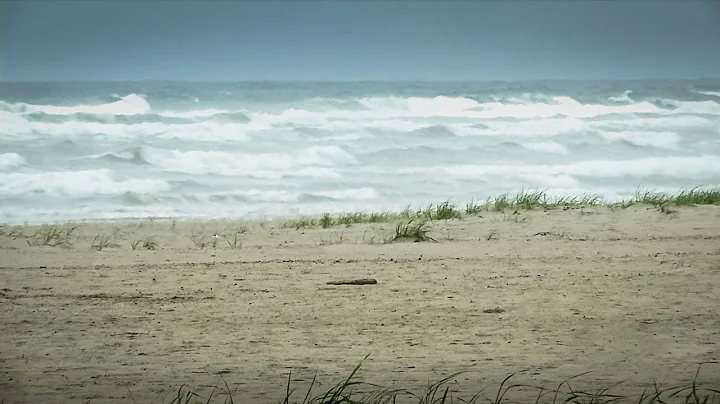 Harvesting Salt from the Ocean