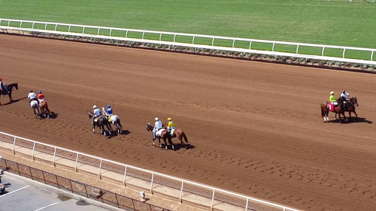 Auto focus failure Race 2 Del Mar Race Track 8X Zoom