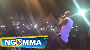 JOSE CHAMELEONE Live in NAIROBI 2016