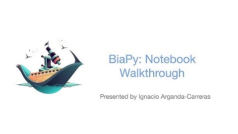 BiaPy Notebooks walkthrough