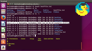 Linux commands for beginners - Basic Linux command line usage